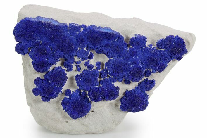 Vibrant Blue Azurite Suns on Siltstone - Australia #361249